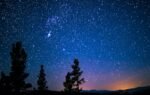 Beautiful starry night sky with silhouetted trees, showcasing the vast cosmos.