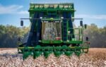 Close-up of a green tractor harvesting cotton in a vast field under blue sky.