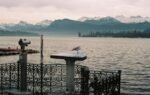 Serene lake scene with Swiss Alps and seagull perched on railing.