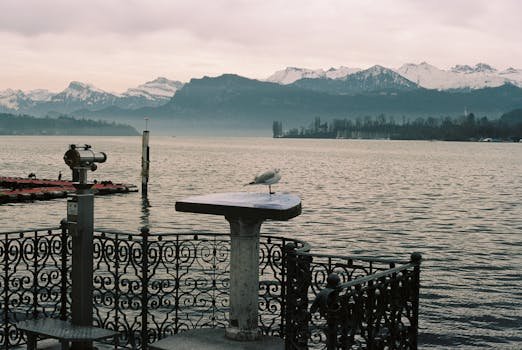 Serene lake scene with Swiss Alps and seagull perched on railing.