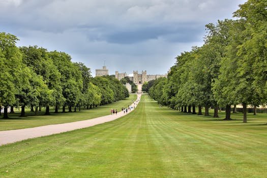 A beautiful summer view of the grand approach to Windsor Castle, surrounded by lush greenery.
