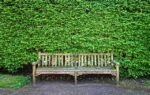 wooden bench, bench, seat, sitting, resting, furniture, outdoor furniture, garden furniture, park furniture, public furniture, street furniture, shorn hedge, hedge, clipped hedge, foliage, path, green garden, green street, green park, green gardening, green path, bench, bench, bench, bench, bench, hedge, hedge