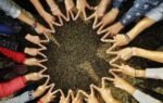 A diverse group of hands forming a star shape in a circle on grassy ground, symbolizing unity.