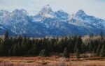 Majestic view of the Grand Teton mountain range in Wyoming with evergreen forests in the foreground.