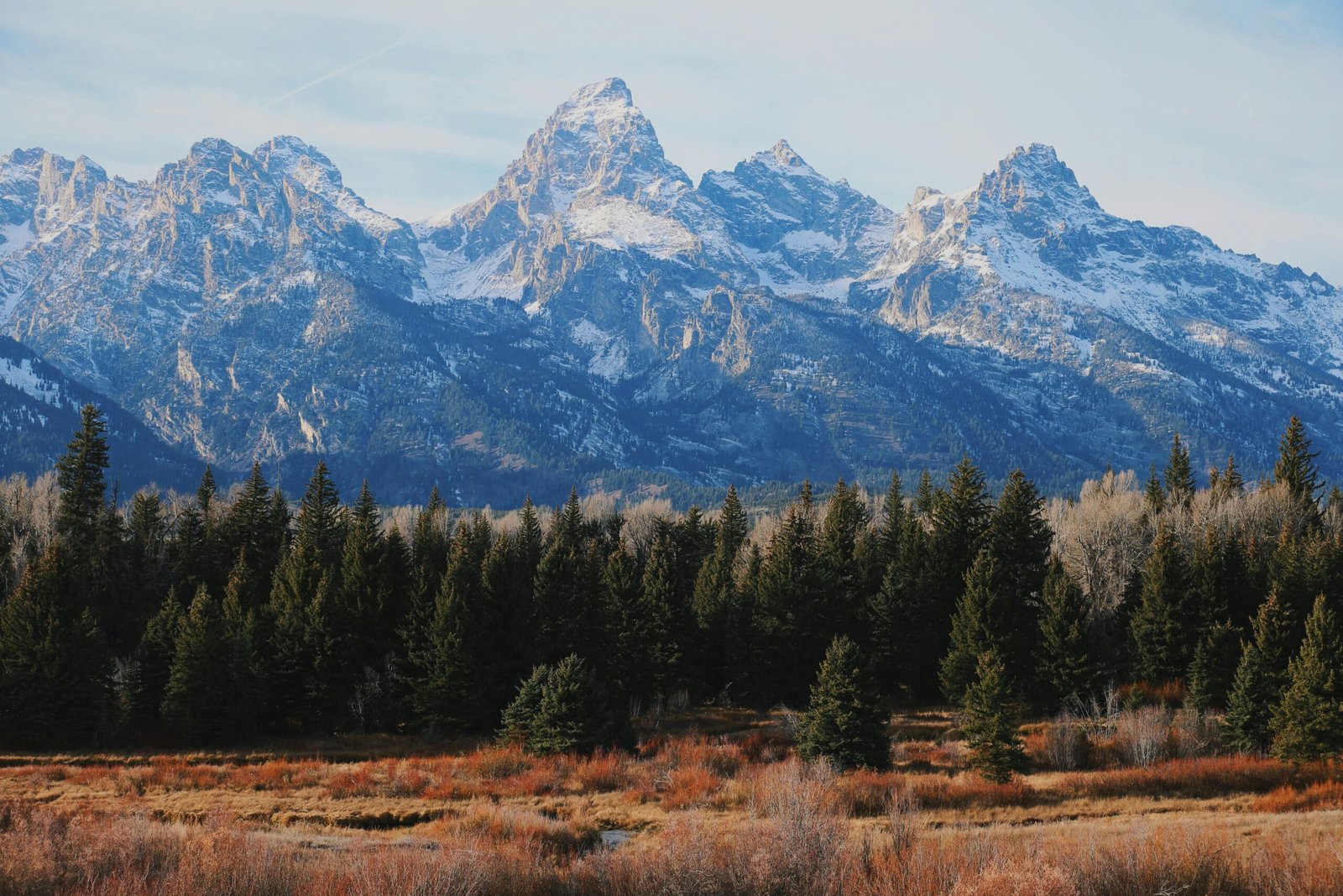 Majestic view of the Grand Teton mountain range in Wyoming with evergreen forests in the foreground.